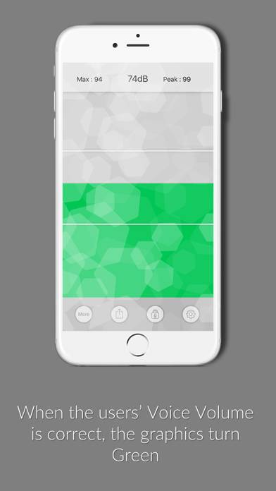 Voice Volume Meter Pro App screenshot #2
