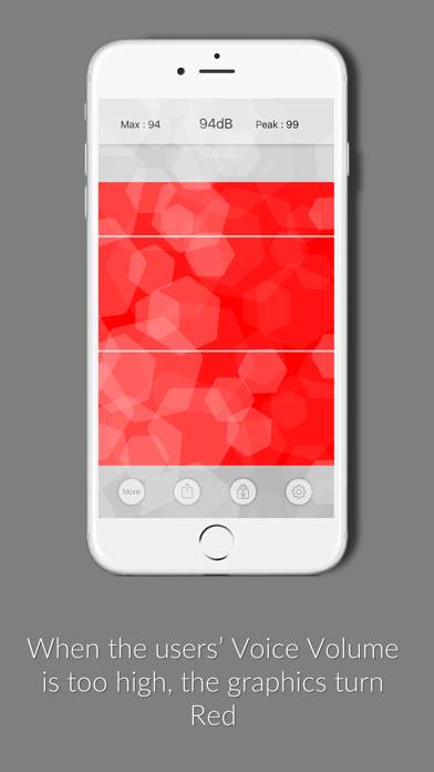 Voice Volume Meter Pro App screenshot #3