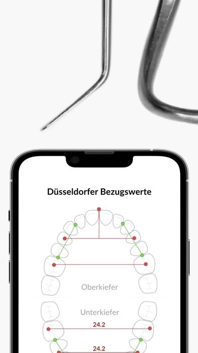Modellanalyse App-Screenshot
