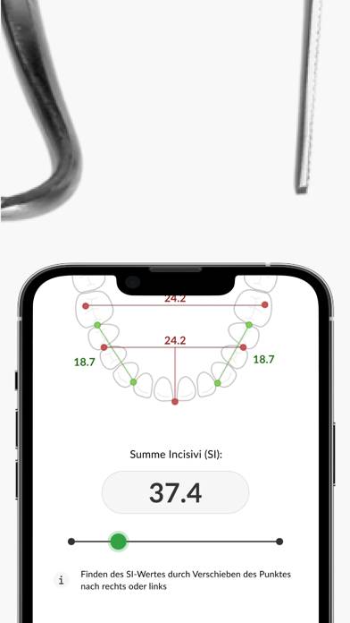 Modellanalyse App-Screenshot