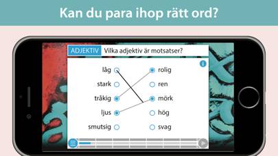 Form i fokus A – svensk grammatik App skärmdump #2