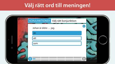Form i fokus A – svensk grammatik App skärmdump #3