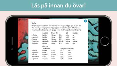 Form i fokus A – svensk grammatik App skärmdump #4