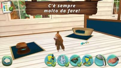Pet Hotel Premium per animali schermata del gioco