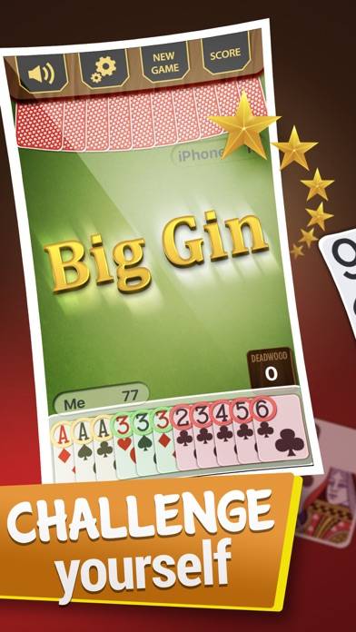 Gin Rummy Best Card Game App screenshot #4