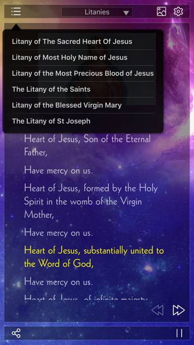 Holy Rosary Audio Deluxe(Rosary and Divine Mercy) Schermata dell'app #4