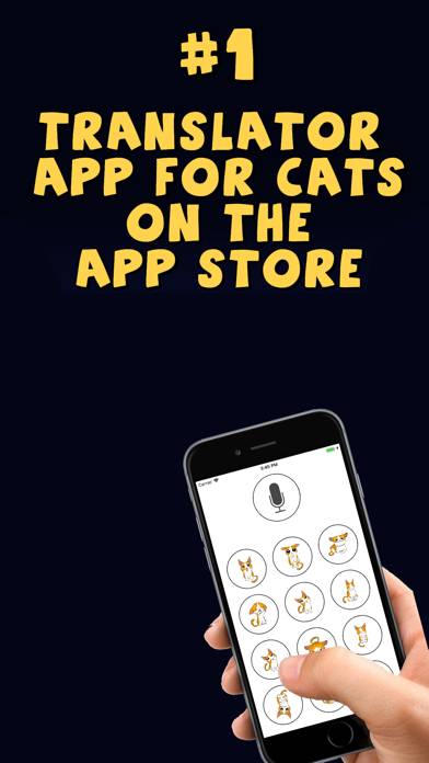 Cat Translator Deluxe Schermata dell'app #1