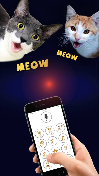Cat Translator Deluxe App screenshot #3