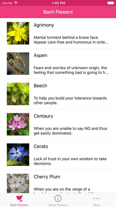 Bach Flowers Remedies App screenshot #2