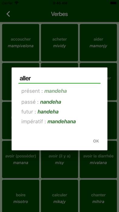 Antisèche malagasy App screenshot #2