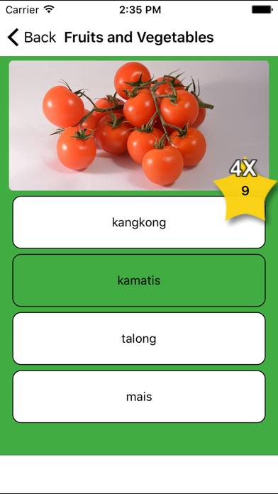 Learn Tagalog App skärmdump #4