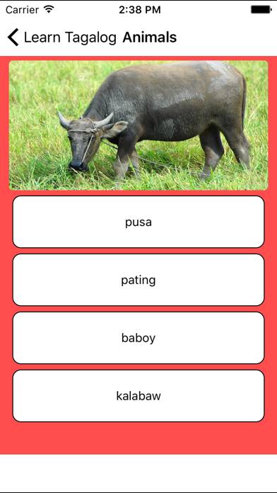 Learn Tagalog App skärmdump #5