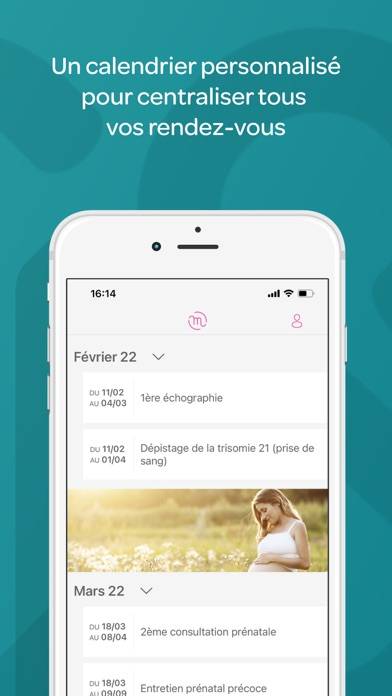 Materniteam, suivi grossesse Capture d'écran de l'application
