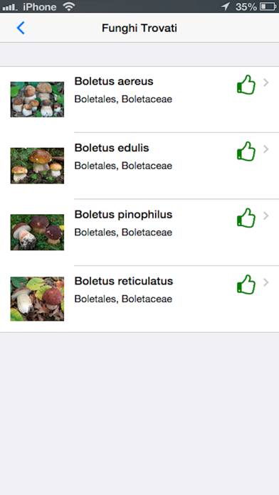 Funghi italiani Schermata dell'app