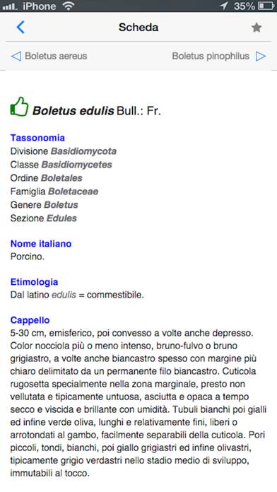 Funghi italiani Schermata dell'app