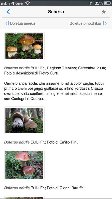 Funghi italiani Schermata dell'app #4