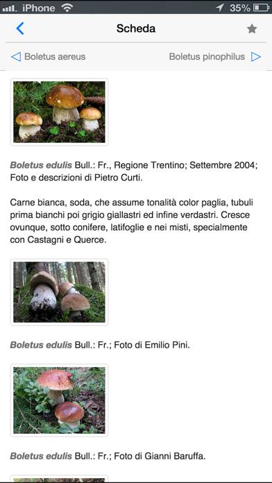 Funghi italiani Schermata dell'app