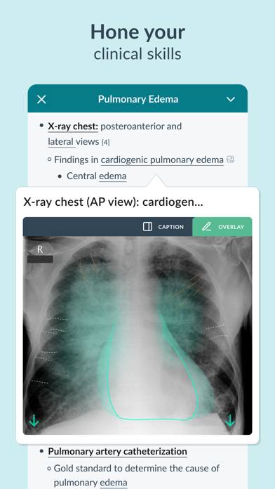 AMBOSS Medical Knowledge App screenshot