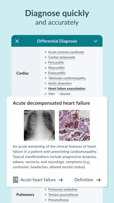 AMBOSS Medical Knowledge App screenshot