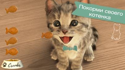 Gatito- mi mascota favorita 3 plus Schermata dell'app #3