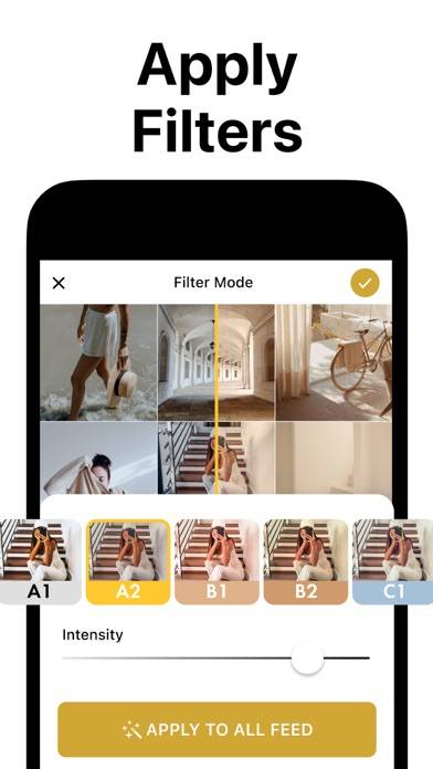 Preview pour Instagram Feed Capture d'écran de l'application