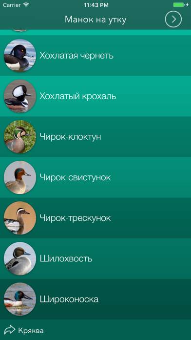 Охотничий манок на утку Скриншот приложения #5