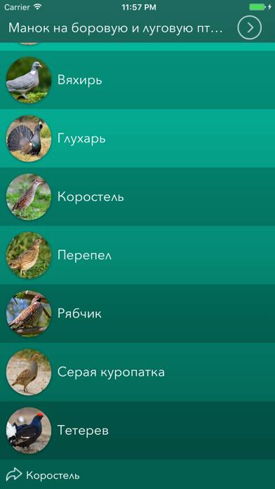Охотничий манок на боровую и луговую птицу Скриншот приложения #2