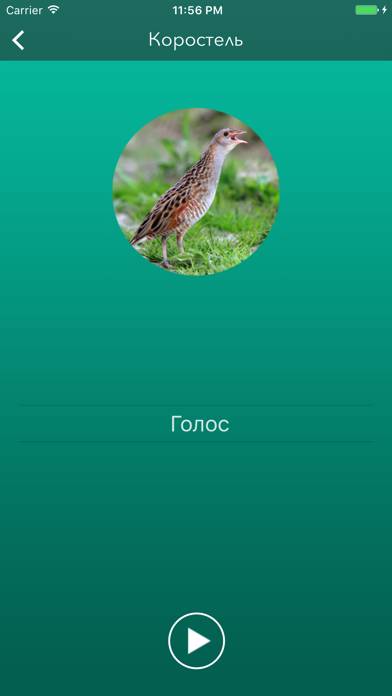Охотничий манок на боровую и луговую птицу Скриншот приложения #3
