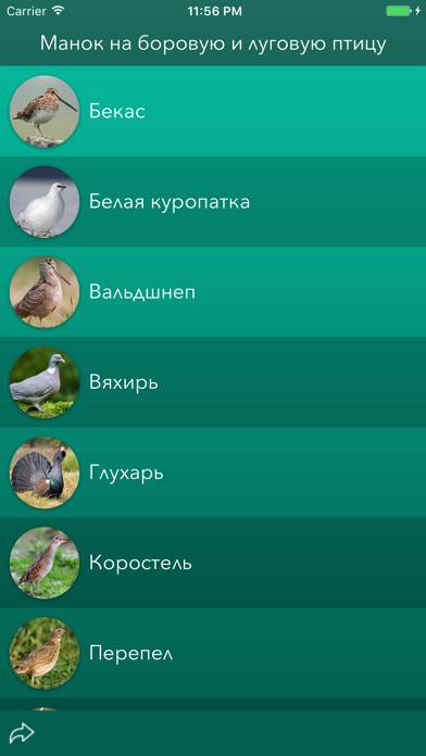 Охотничий манок на боровую и луговую птицу Скриншот приложения #4