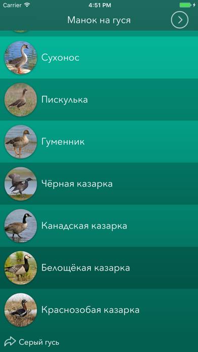 Охотничий манок на гуся Скриншот приложения #4