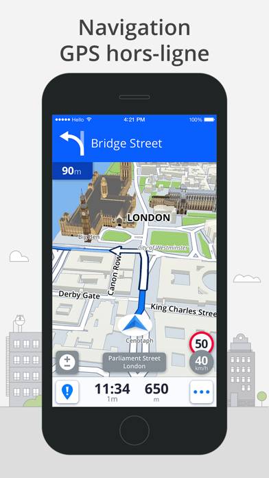 Sygic World :Navigation GPS Capture d'écran de l'application #1