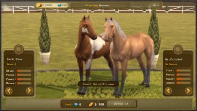 Jumping Horses Champions 3 App screenshot #4