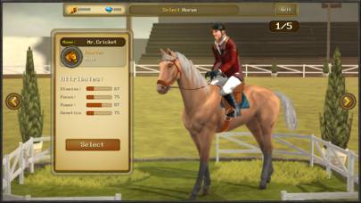 Jumping Horses Champions 3 App skärmdump #6