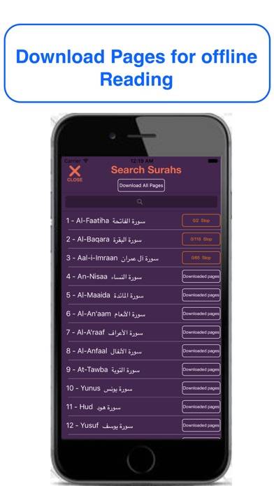 Urdu Quran Word To Word Online App screenshot #2