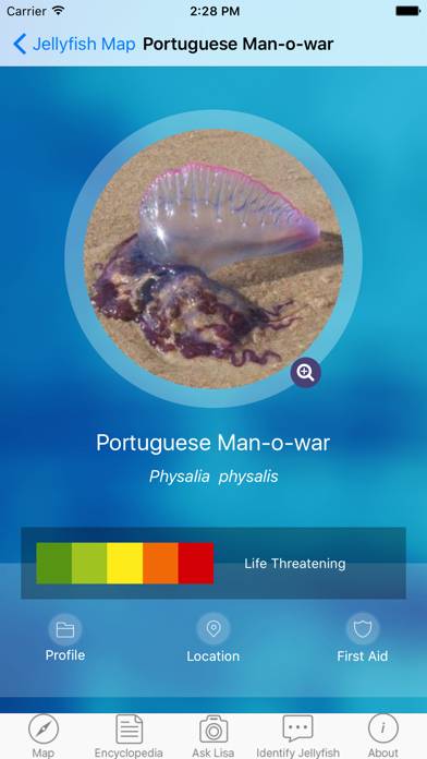 The Jellyfish App Pro App skärmdump #2