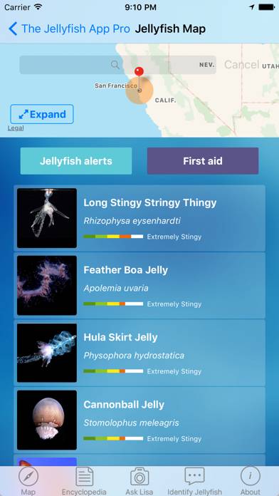 The Jellyfish App Pro App skärmdump #3