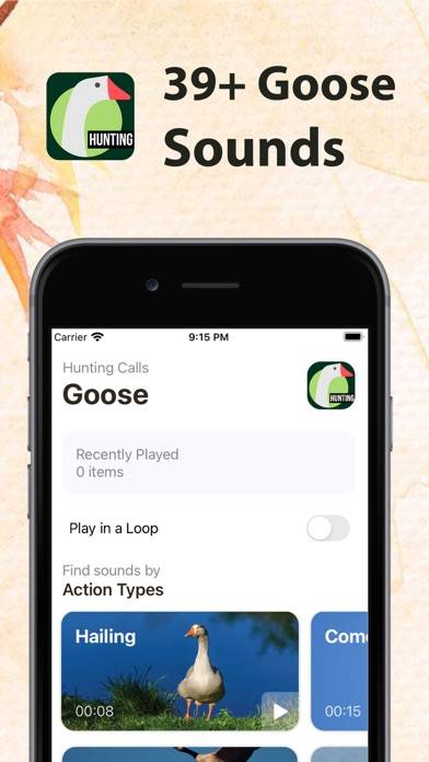 Hunting Calls for Goose App screenshot #1