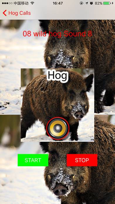 Real Hog Hunting Calls & Sounds App screenshot #3