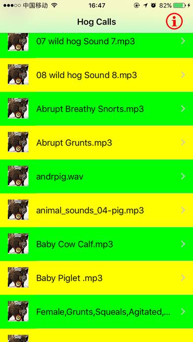 Real Hog Hunting Calls & Sounds App screenshot #4