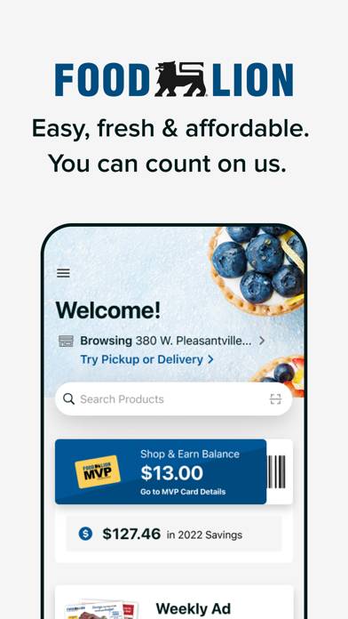 Food Lion screenshot