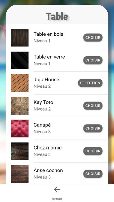 Domino Ka Tonbé game screenshot