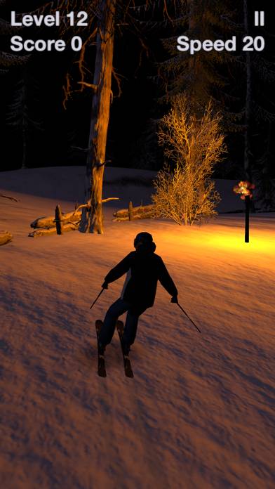 Alpine Ski III App screenshot #2
