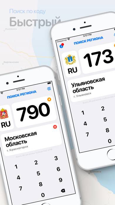 Регионы  Коды регионов России Скриншот приложения #1