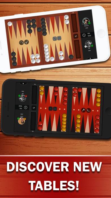 Backgammon Uygulama ekran görüntüsü #3