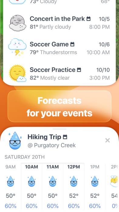 Weather Up  Live Widgets Uygulama ekran görüntüsü #4