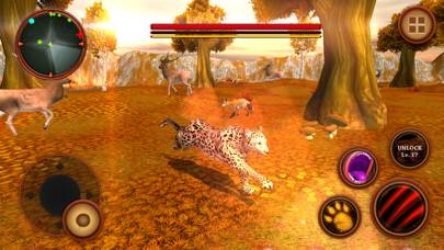 Leopard Survival Life Simulator : Animal of Prey Скриншот приложения #2