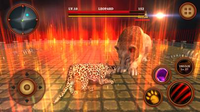 Leopard Survival Life Simulator : Animal of Prey Скриншот приложения #3