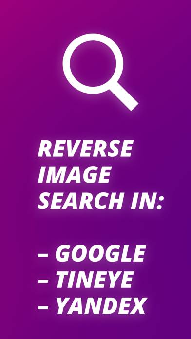 Reverse Image Search Extension Captura de pantalla de la aplicación #1