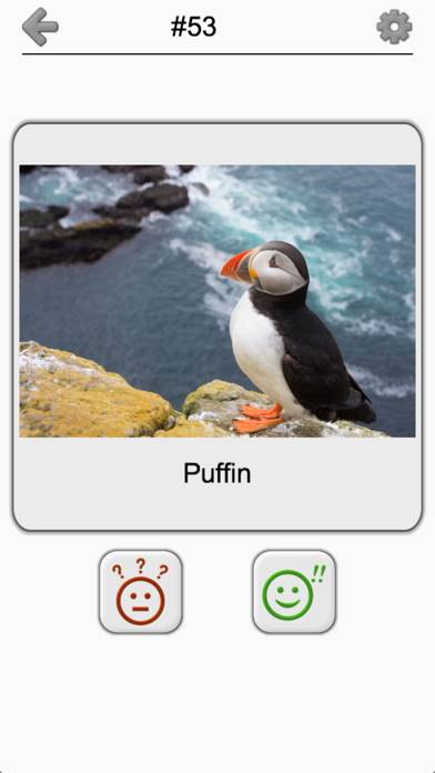 Bird World App screenshot #4