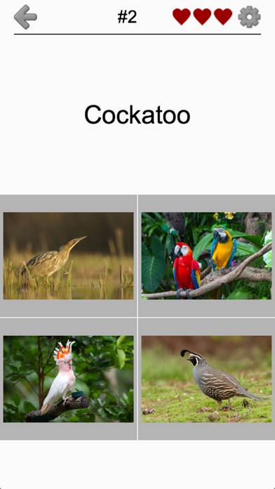 Bird World App skärmdump #5